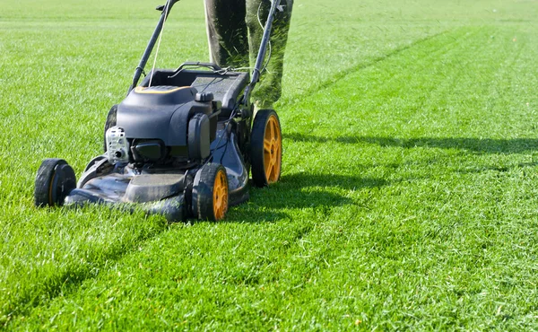Bloeituin - Altijd een verzorgde tuin met een tuinonderhoud abonnement