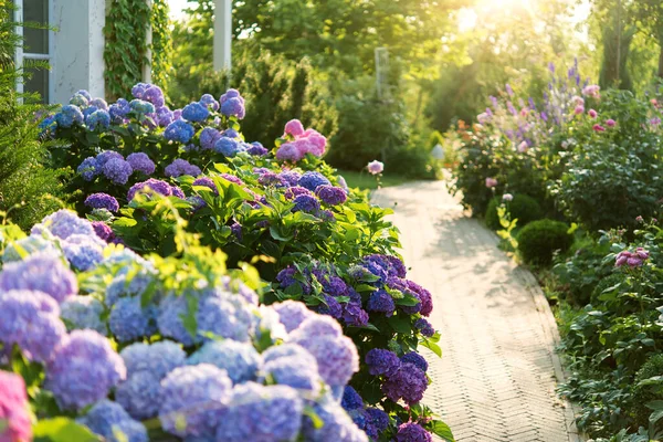 Zonnige tuin