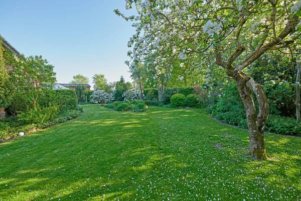 Bloeituin - Mooie bomen voor in uw tuin