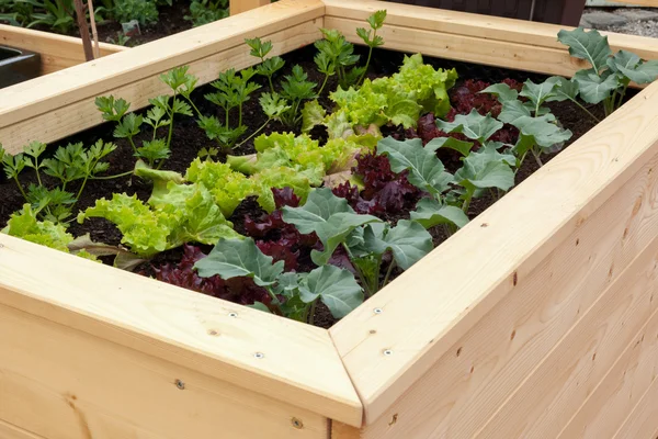 Bloeituin - Hout in de moestuin natuurlijk, praktisch en sfeervol inzetten